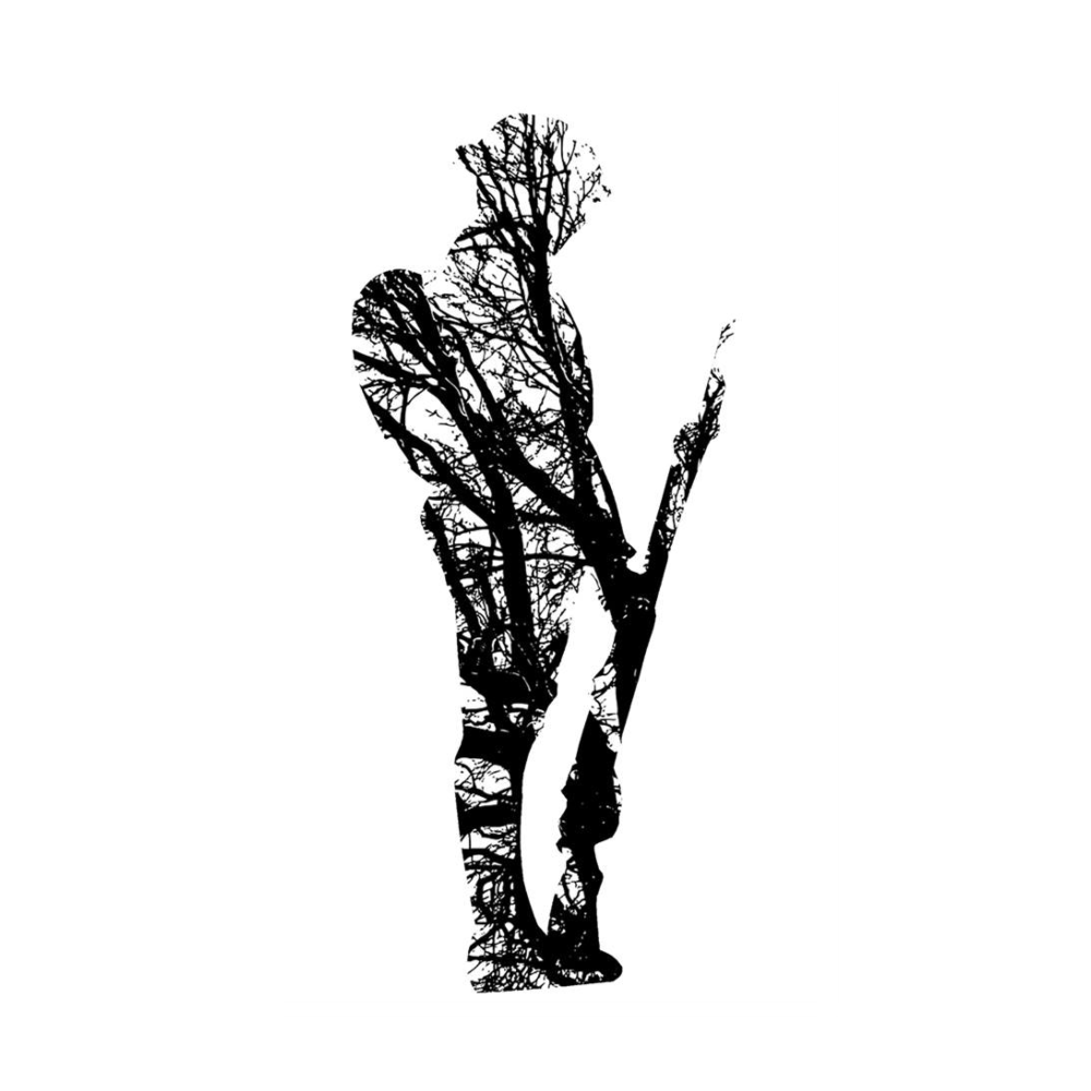 Matt Abbott Poet | Trees In Mind
